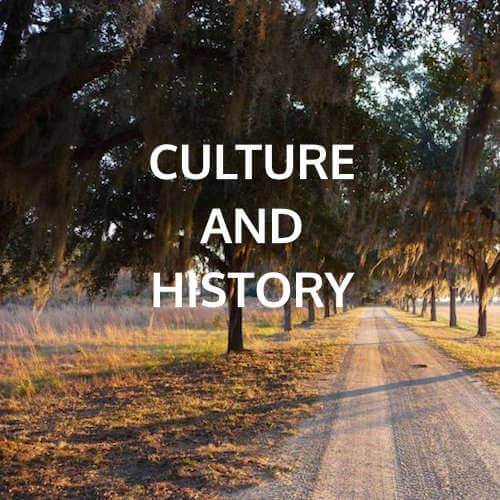 Culture and History