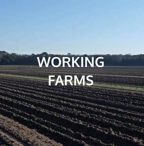 working farms