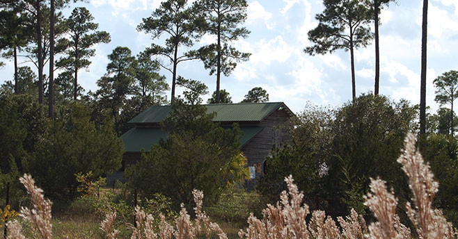 Widgeon-Point-Preserve-Beaufort County Rural and Critical