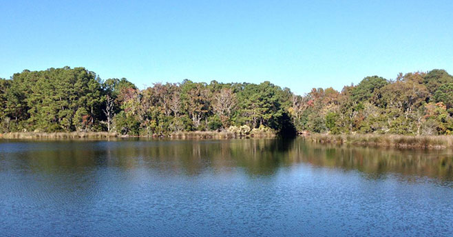 Crystal-Lake Park - Rural and Critical Land - Beaufort SC