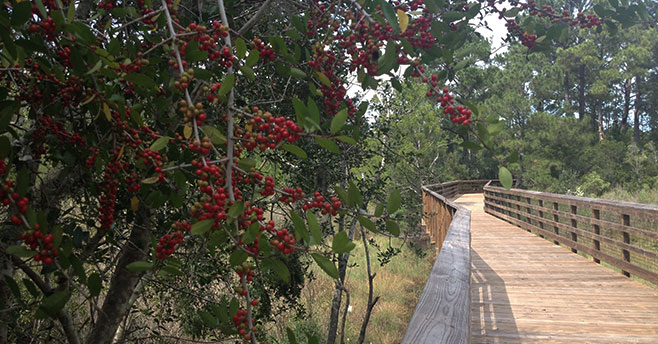 Crystal-Lake | Beaufort County Rural and Critical