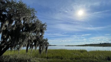 2,000 acres protected in St Helena sound